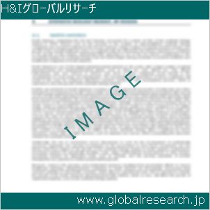 グローバルリサーチ調査レポートのイメージ